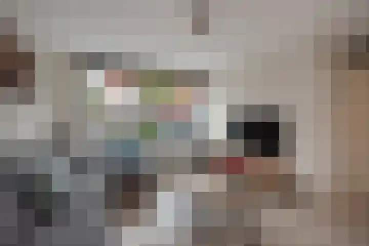 Van Rijswijckschans 97 Zoetermeer thumbnail 8