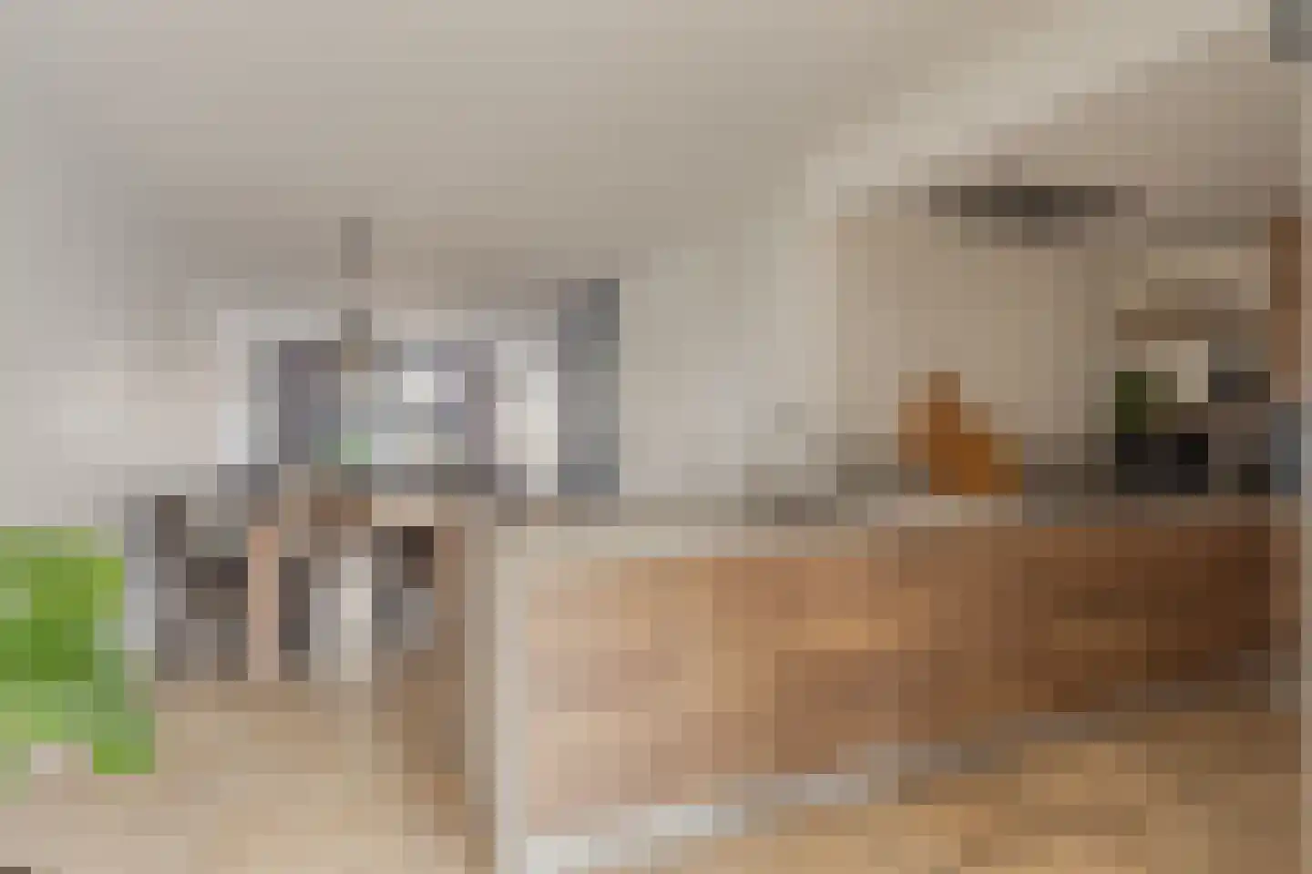 Van Rijswijkstraat 14 Cromvoirt thumbnail 11