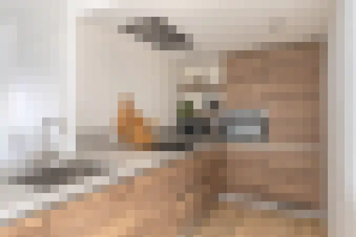 Van Rijswijkstraat 14 Cromvoirt thumbnail 11