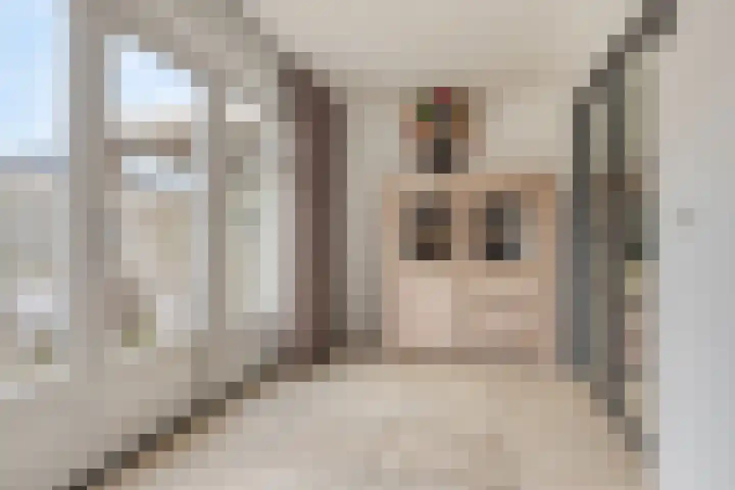 Van Rijswijkstraat 14 Cromvoirt thumbnail 13