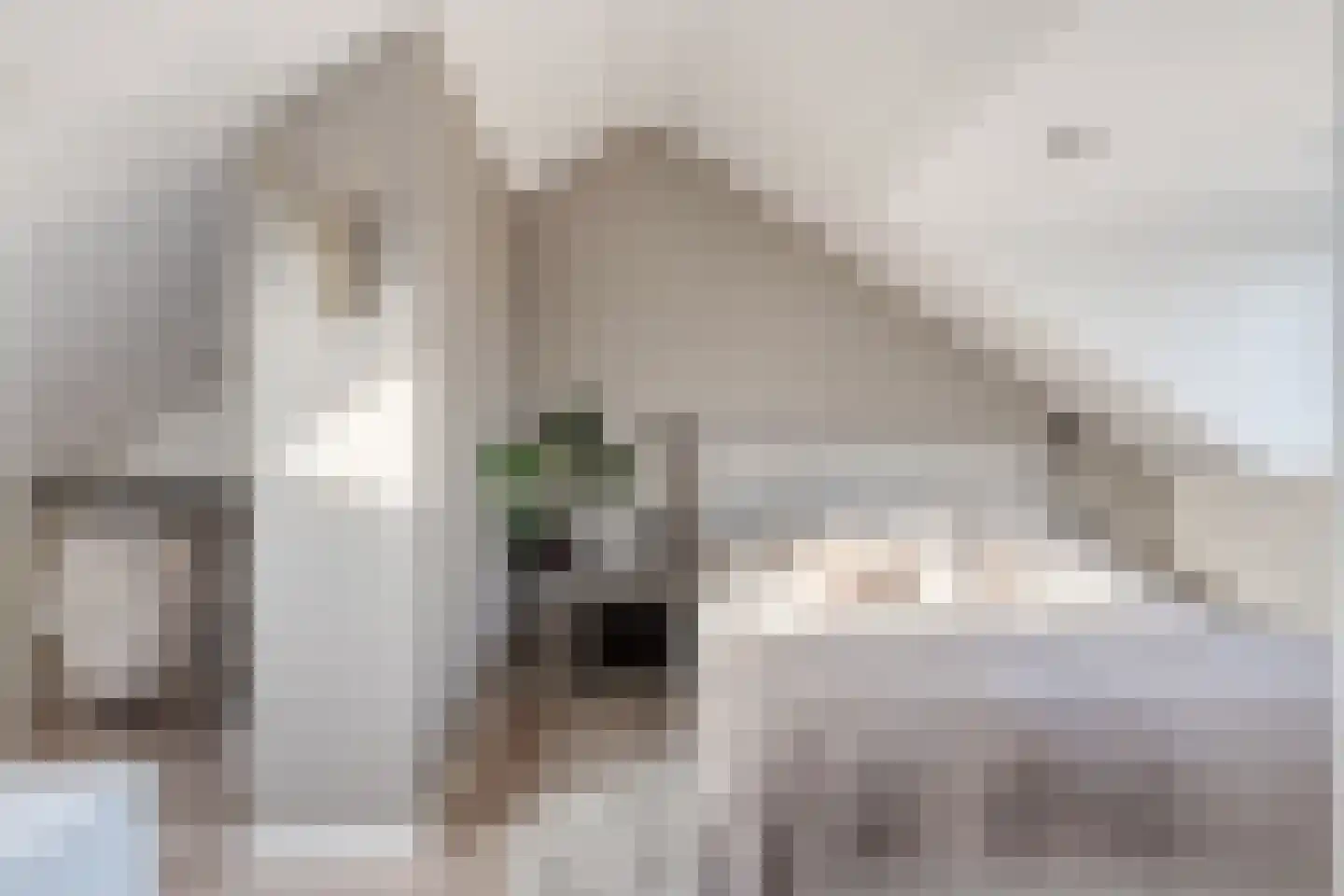 Van Rijswijkstraat 14 Cromvoirt thumbnail 32