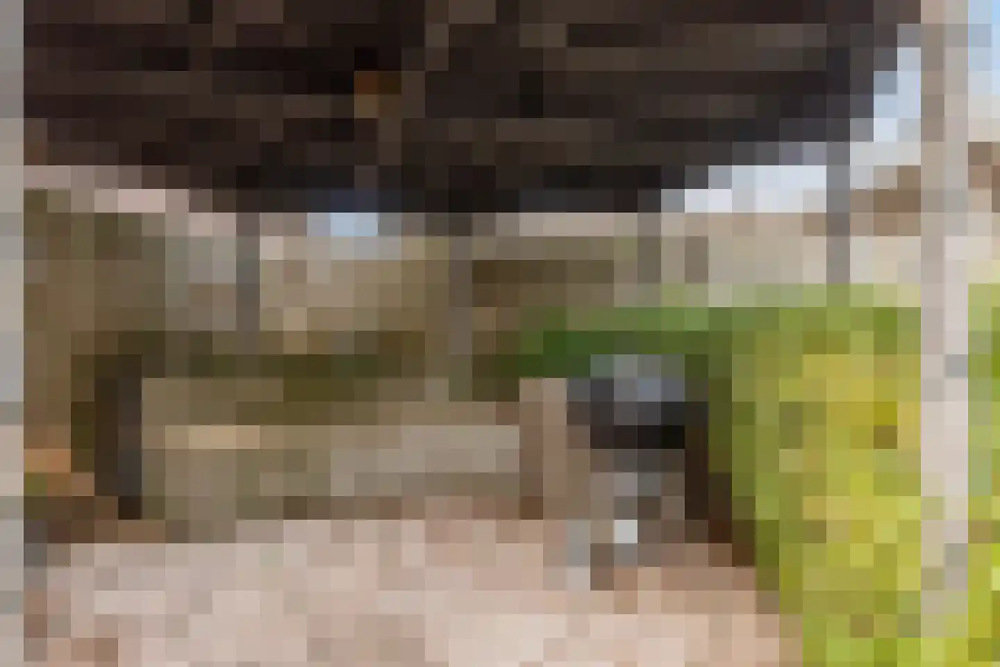 Van Rijswijkstraat 14 Cromvoirt thumbnail 37