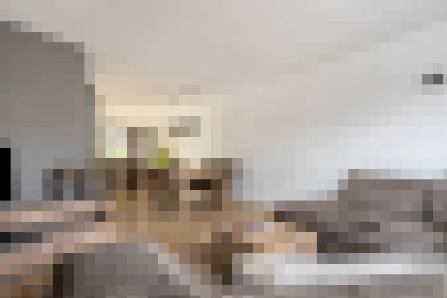 Van Rijswijkstraat 14 Cromvoirt thumbnail 4