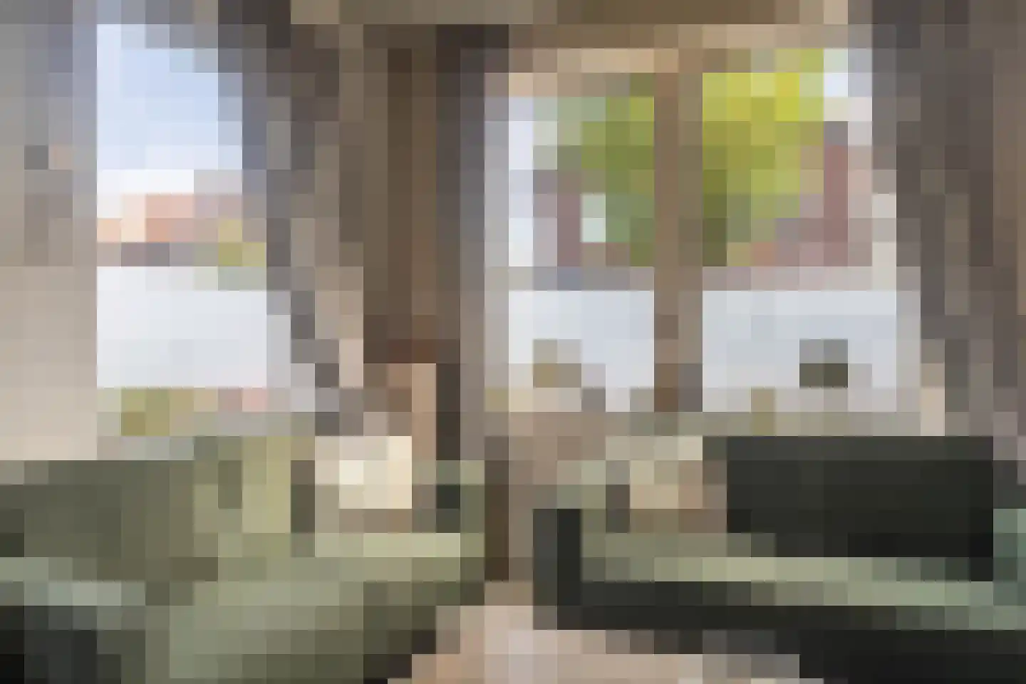 Van Rijswijkstraat 38 Velsen-Noord thumbnail 14