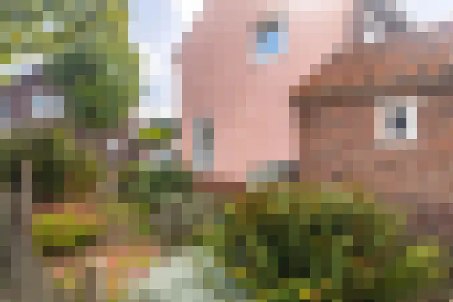 Van Rijswijkstraat 38 Velsen-Noord thumbnail 47