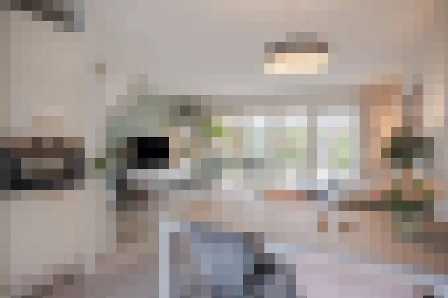 Van Roekelweg 22 Apeldoorn thumbnail 18