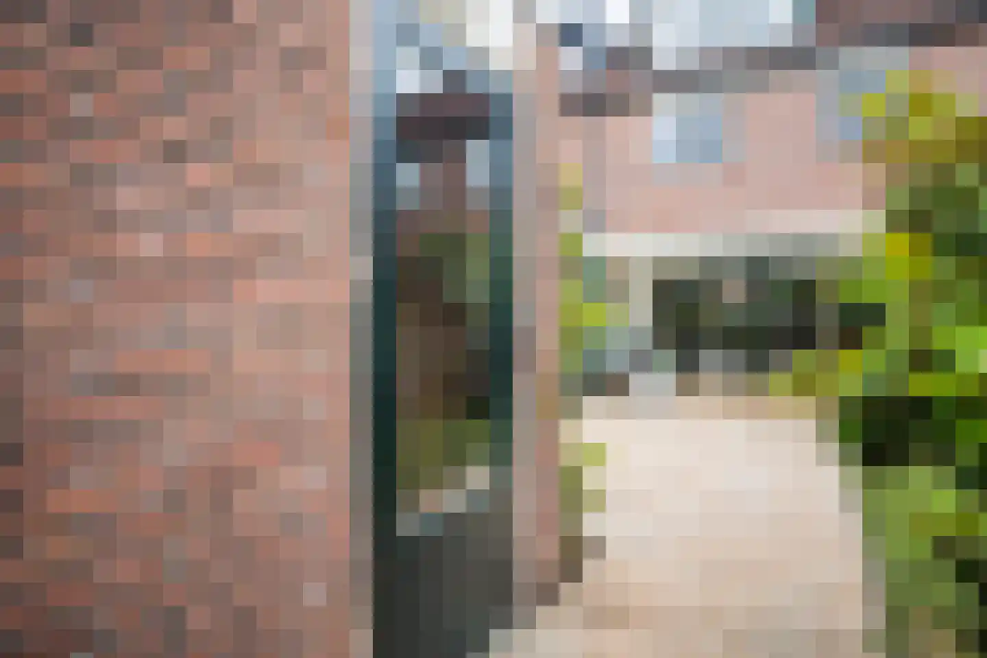 Van Roekelweg 22 Apeldoorn thumbnail 44