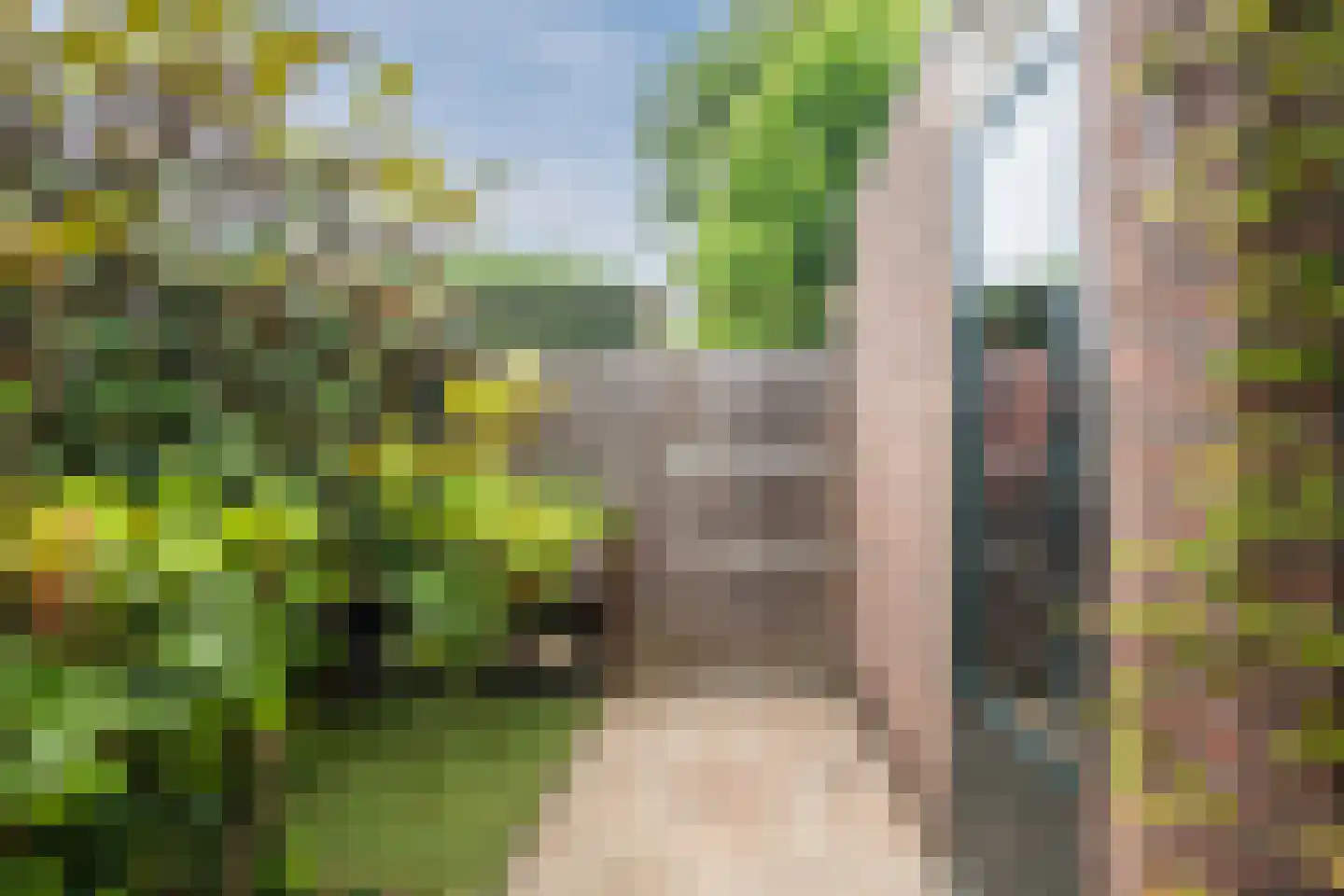 Van Roekelweg 22 Apeldoorn thumbnail 45