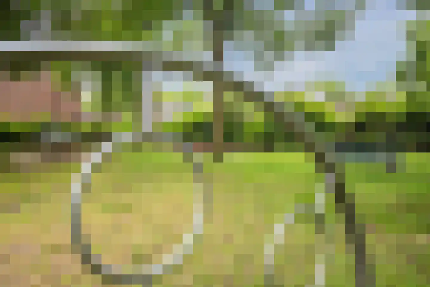 Van Roekelweg 22 Apeldoorn thumbnail 47
