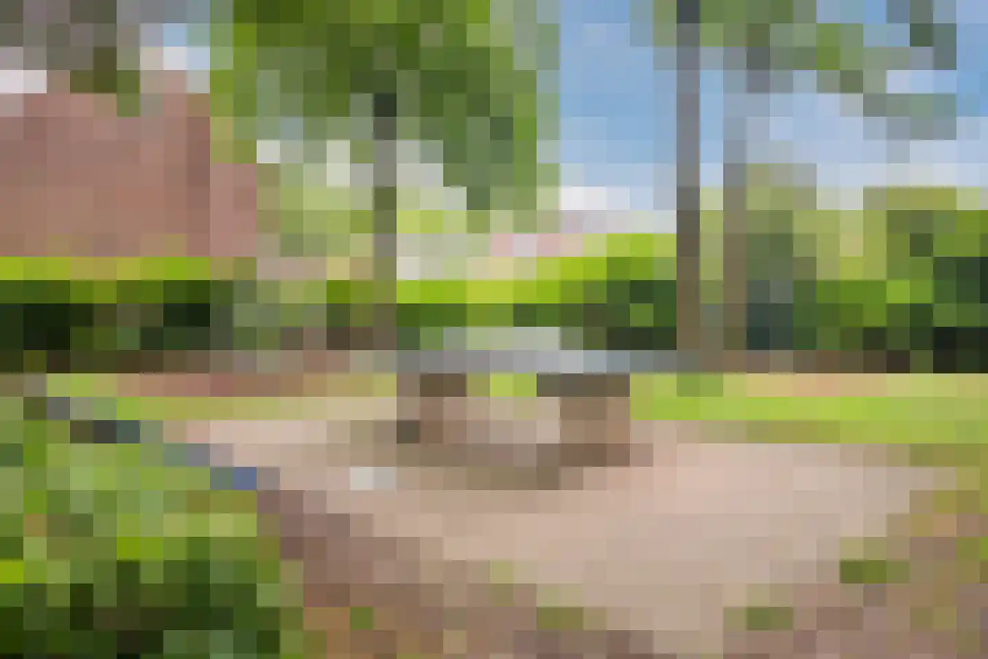 Van Roekelweg 22 Apeldoorn thumbnail 48