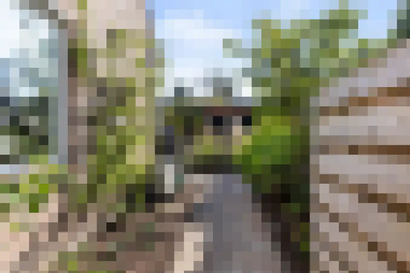 Van Roekelweg 48 Apeldoorn thumbnail 30
