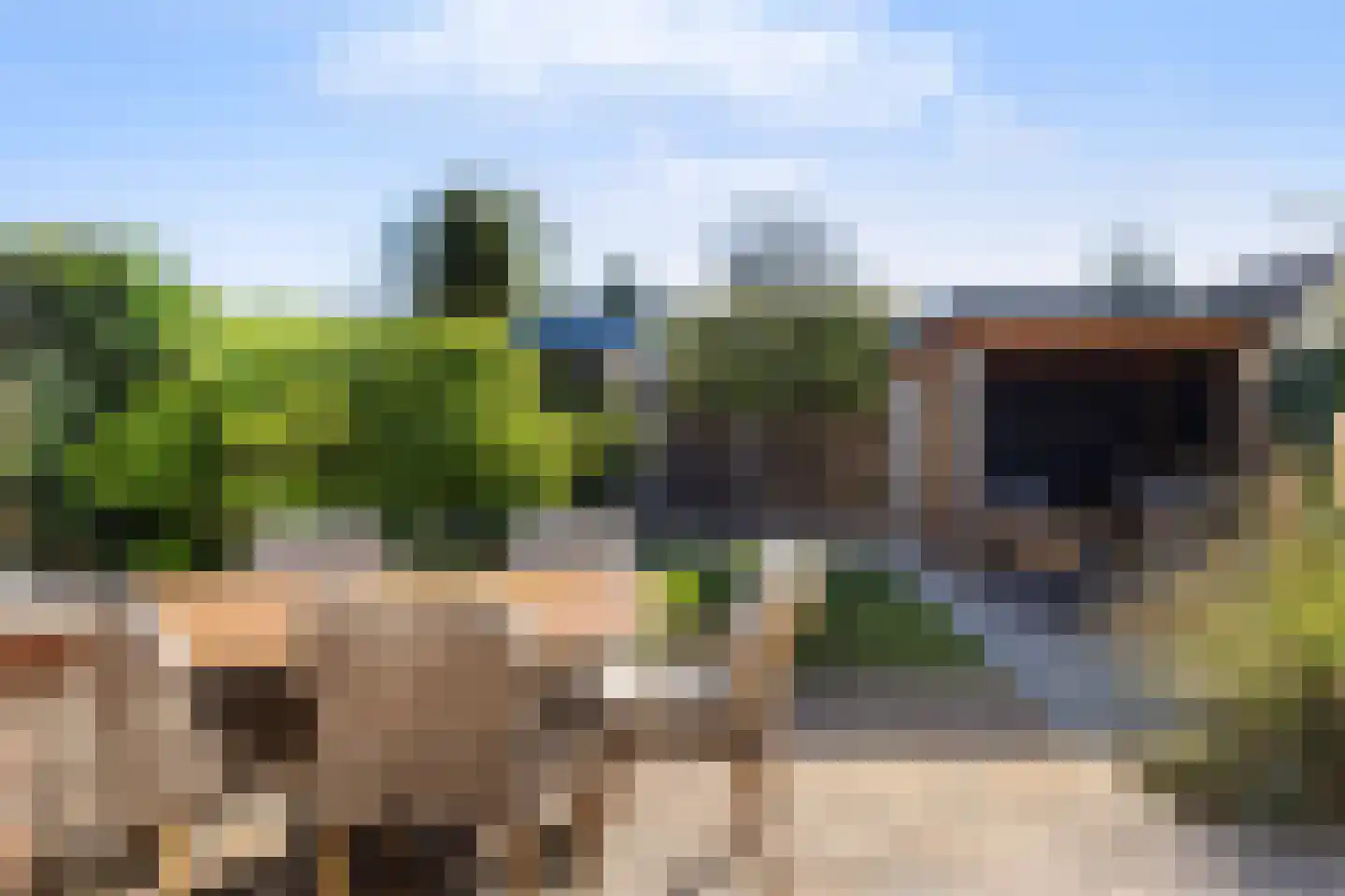 Van Roekelweg 48 Apeldoorn thumbnail 4