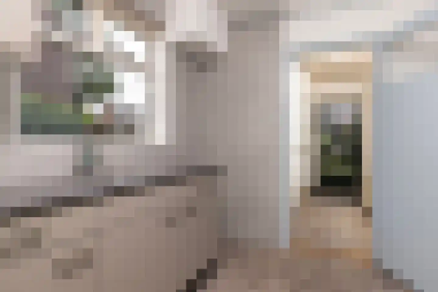 van Roggenstraat 6 Gaanderen thumbnail 11