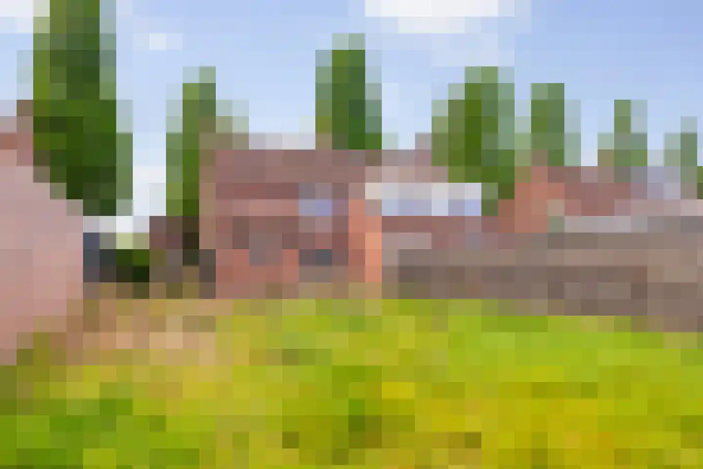 van Roggenstraat 6 Gaanderen thumbnail 19