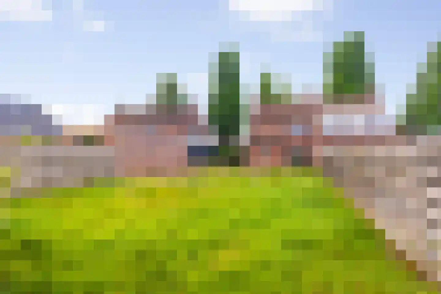 van Roggenstraat 6 Gaanderen thumbnail 26