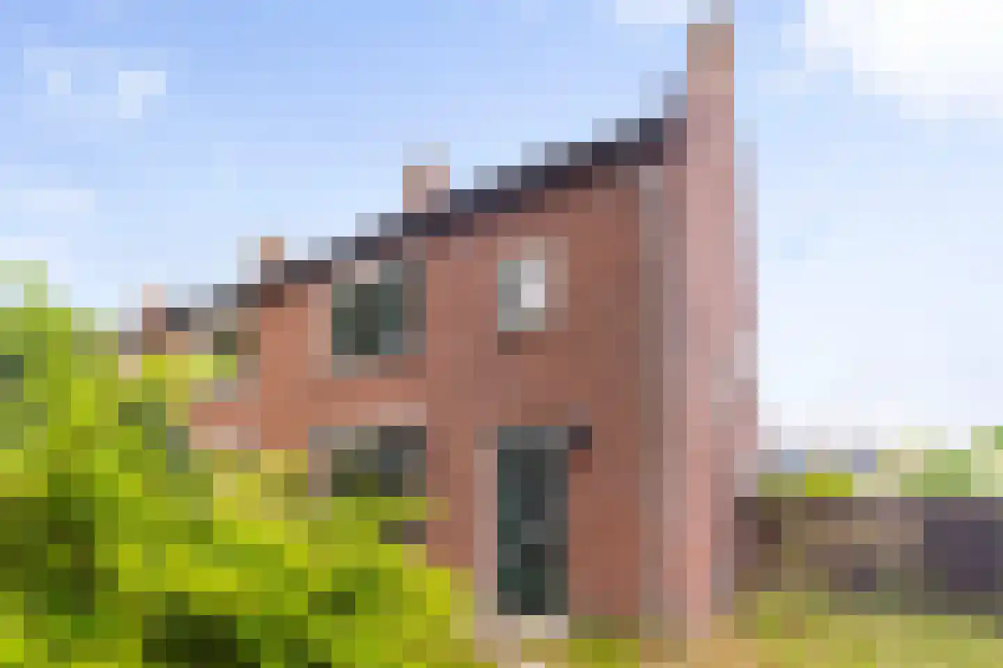 van Roggenstraat 6 Gaanderen thumbnail 5