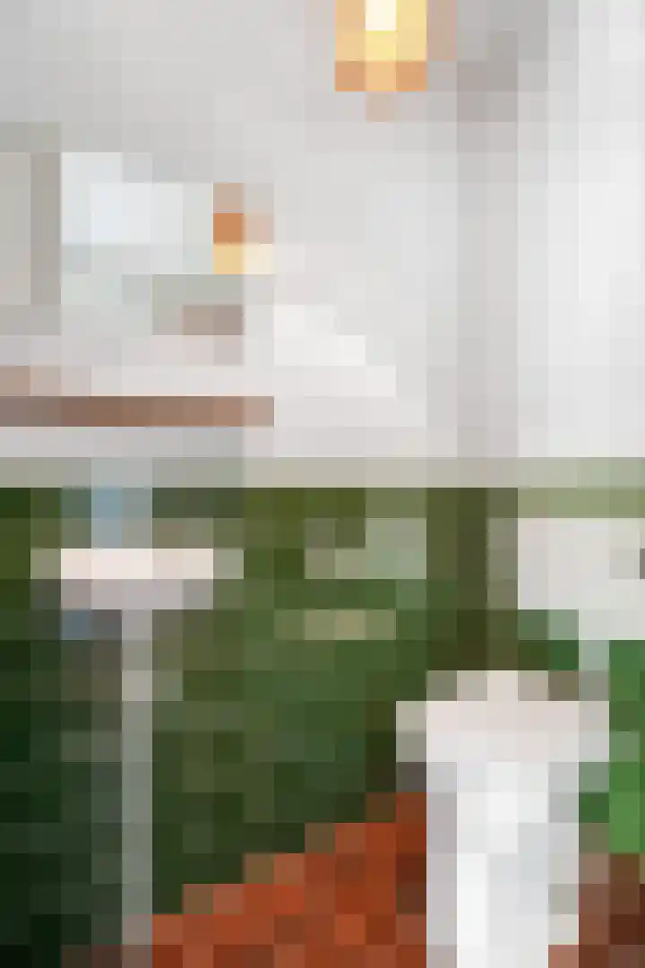 Van Roijenpad 6 Amersfoort thumbnail 12