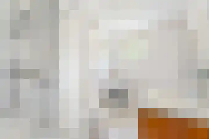 Van Roijenpad 6 Amersfoort thumbnail 15