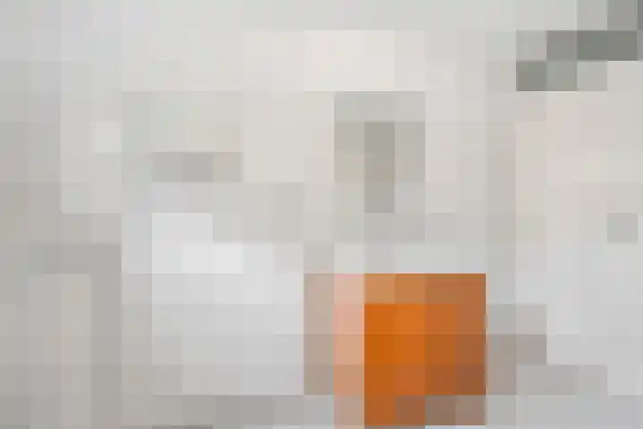 Van Roijenpad 6 Amersfoort thumbnail 17