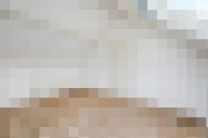 Van Roijenpad 6 Amersfoort thumbnail 25