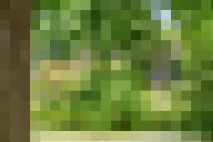Van Roijenpad 6 Amersfoort thumbnail 27
