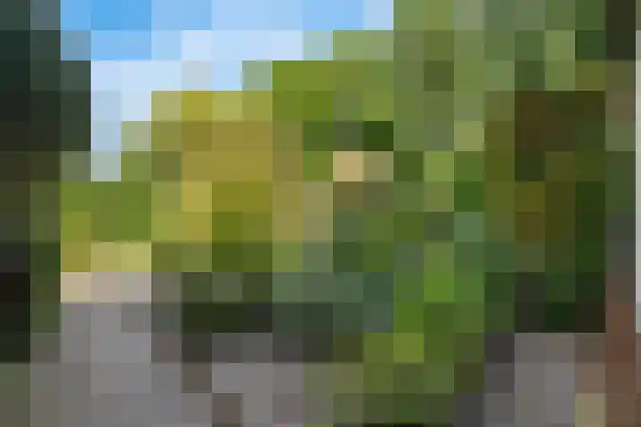 Van Roijenpad 6 Amersfoort thumbnail 28