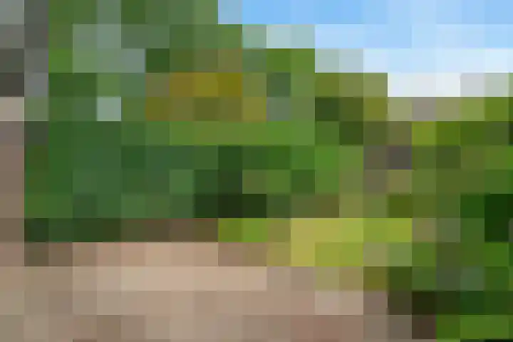 Van Roijenpad 6 Amersfoort thumbnail 30