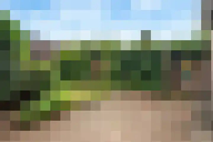 Van Roijenpad 6 Amersfoort thumbnail 31