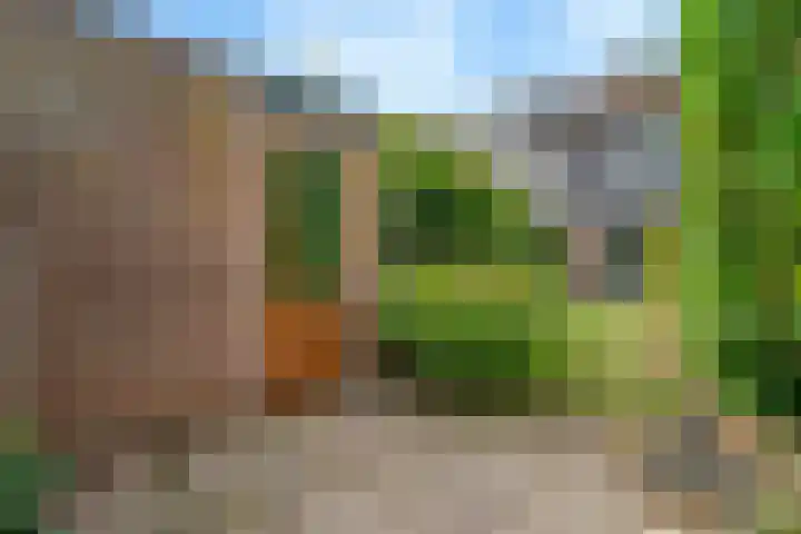 Van Roijenpad 6 Amersfoort thumbnail 32