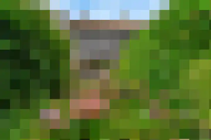 Van Roijenpad 6 Amersfoort thumbnail 33