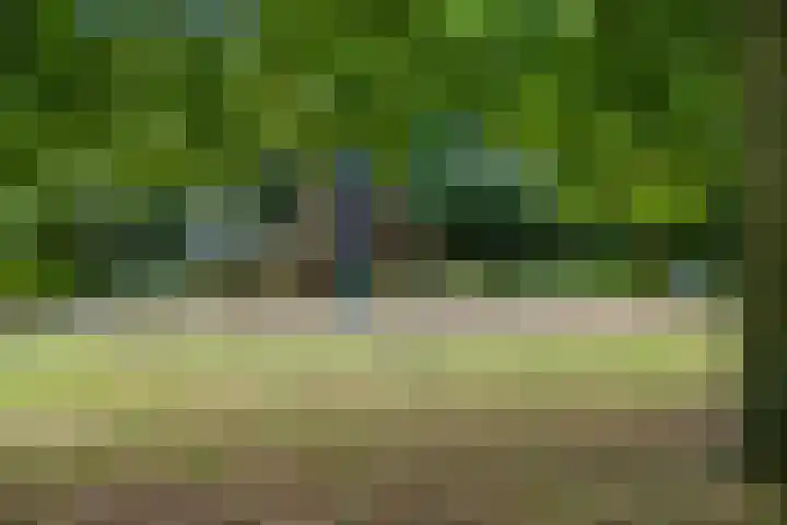 Van Roijenpad 6 Amersfoort thumbnail 34