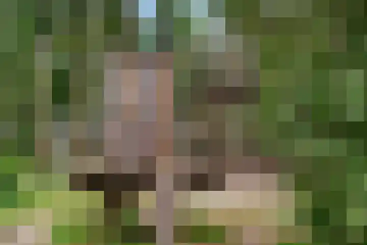 Van Roijenpad 6 Amersfoort thumbnail 36