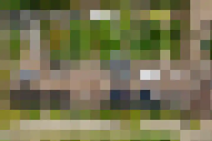 Van Roijenpad 6 Amersfoort thumbnail 37