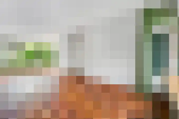 Van Roijenpad 6 Amersfoort thumbnail 6