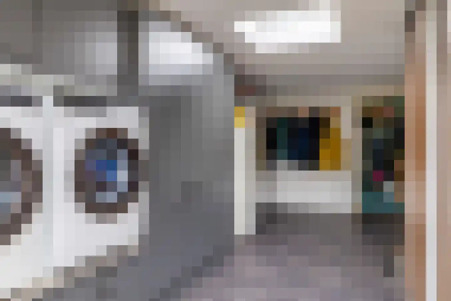 Van Roijensweg 21 b Bergentheim thumbnail 20