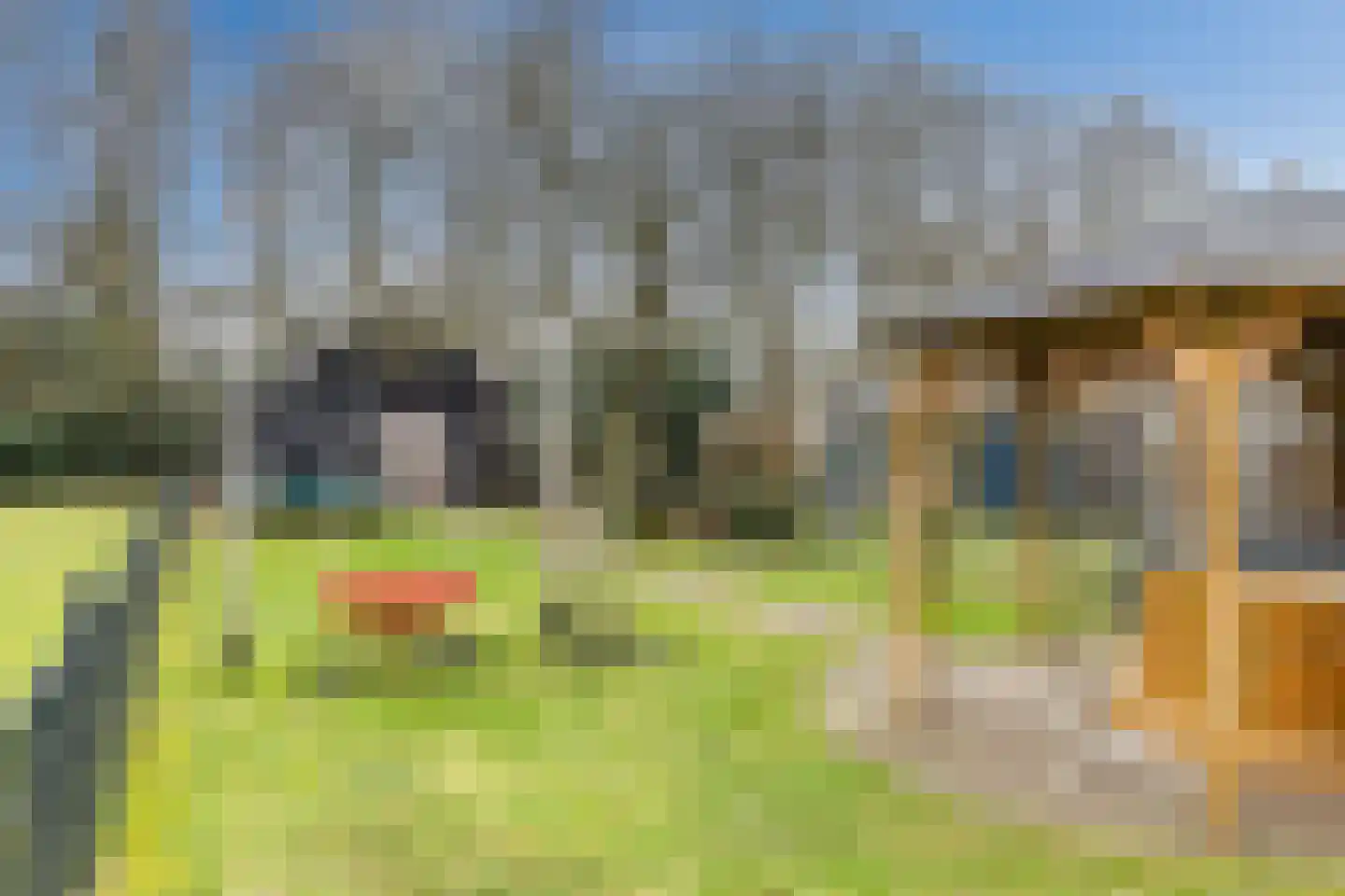 Van Roijensweg 21 b Bergentheim thumbnail 33