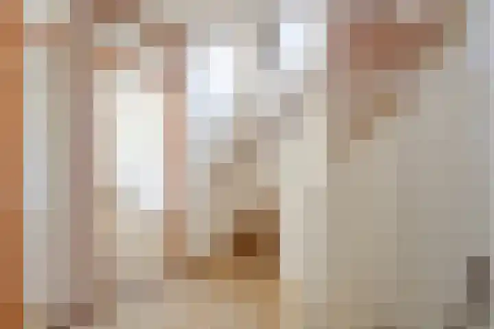Van Rongihof 2 Sittard thumbnail 14