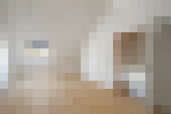 Van Rongihof 2 Sittard thumbnail 15