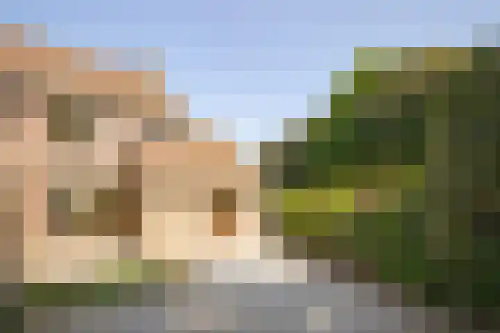 Van Rongihof 2 Sittard thumbnail 18