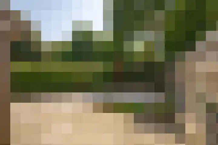 Van Rongihof 2 Sittard thumbnail 20