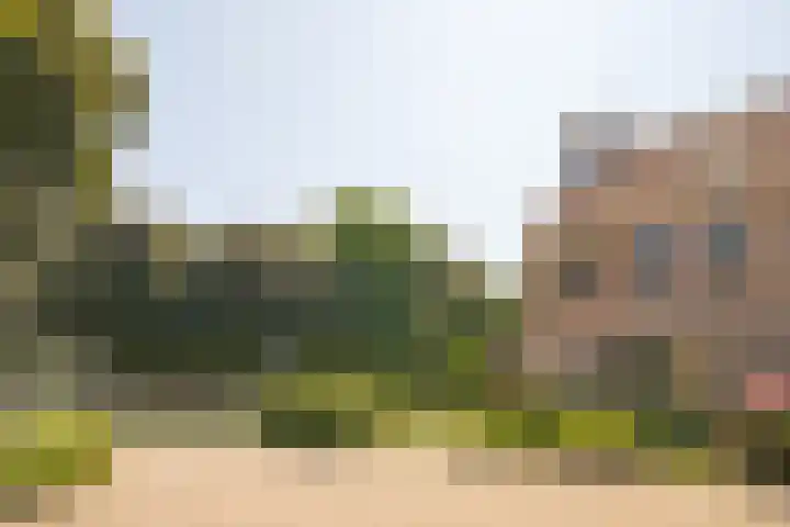 Van Rongihof 2 Sittard thumbnail 21