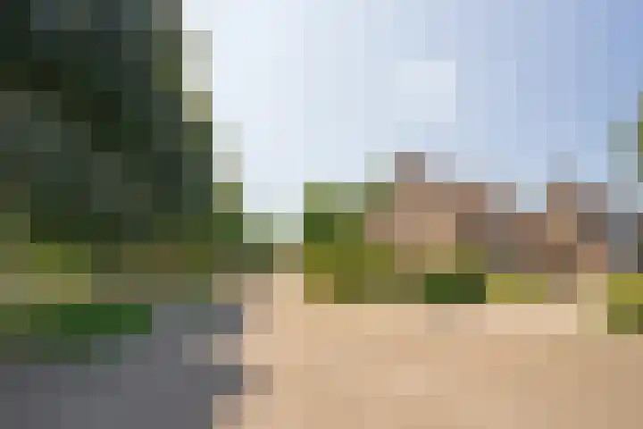 Van Rongihof 2 Sittard thumbnail 23