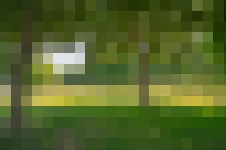 Van Rongihof 2 Sittard thumbnail 24