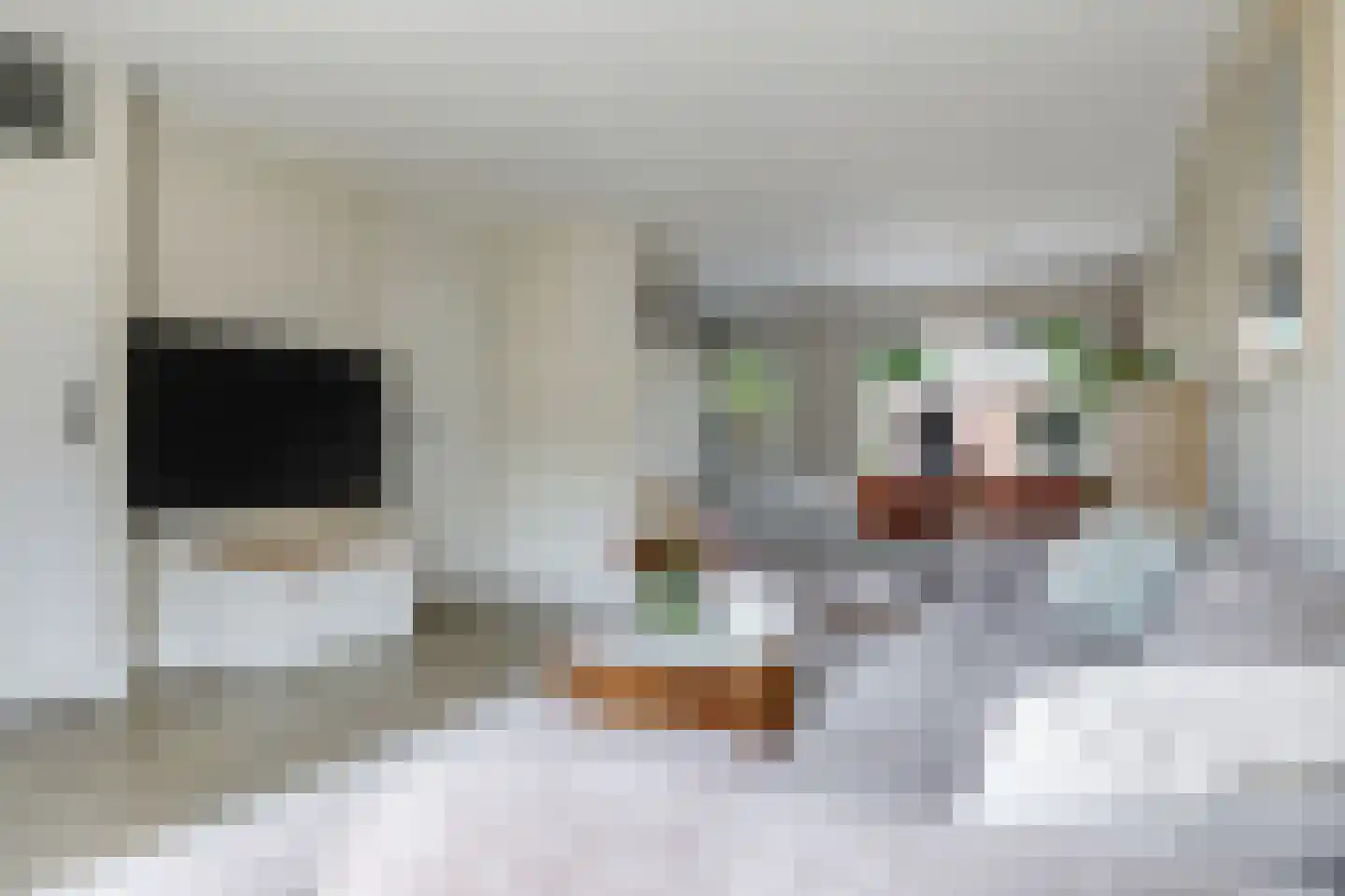 Van Rooijenstraat 36 Driel thumbnail 16