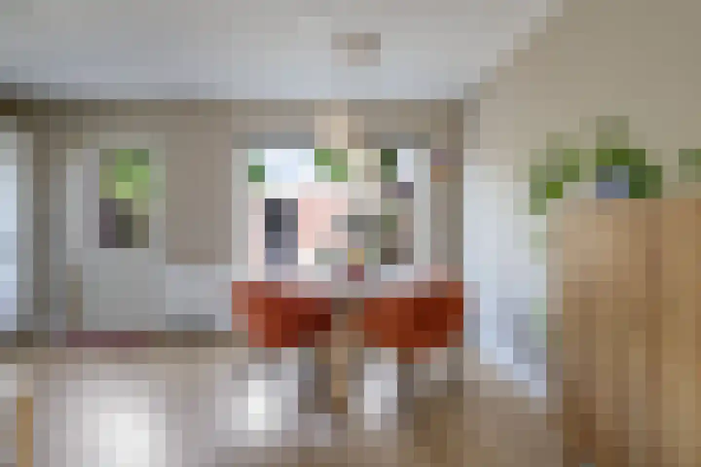 Van Rooijenstraat 36 Driel thumbnail 20