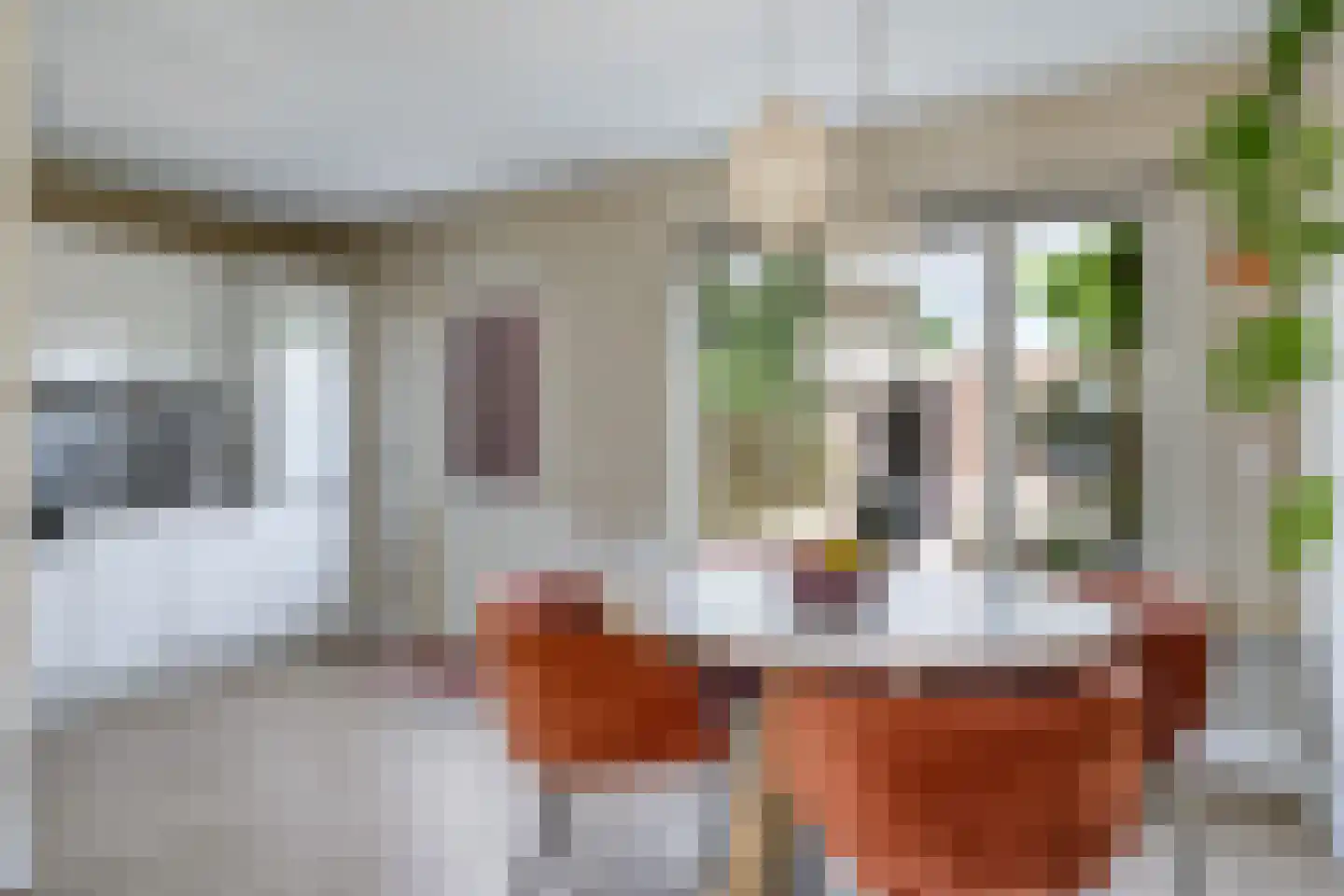 Van Rooijenstraat 36 Driel thumbnail 22