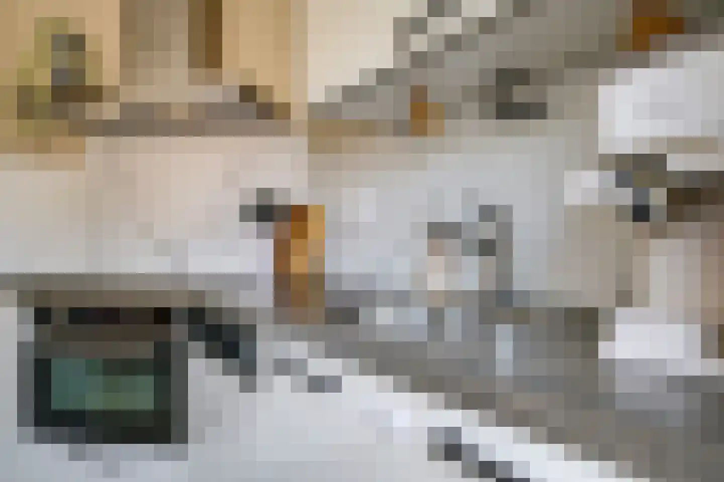 Van Rooijenstraat 36 Driel thumbnail 28