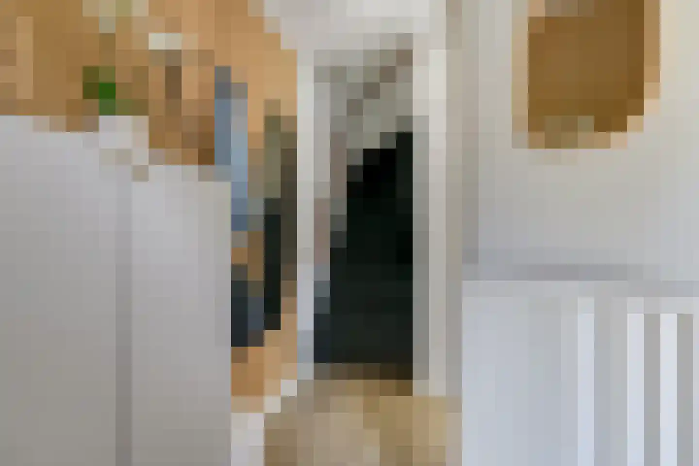 Van Rooijenstraat 36 Driel thumbnail 31
