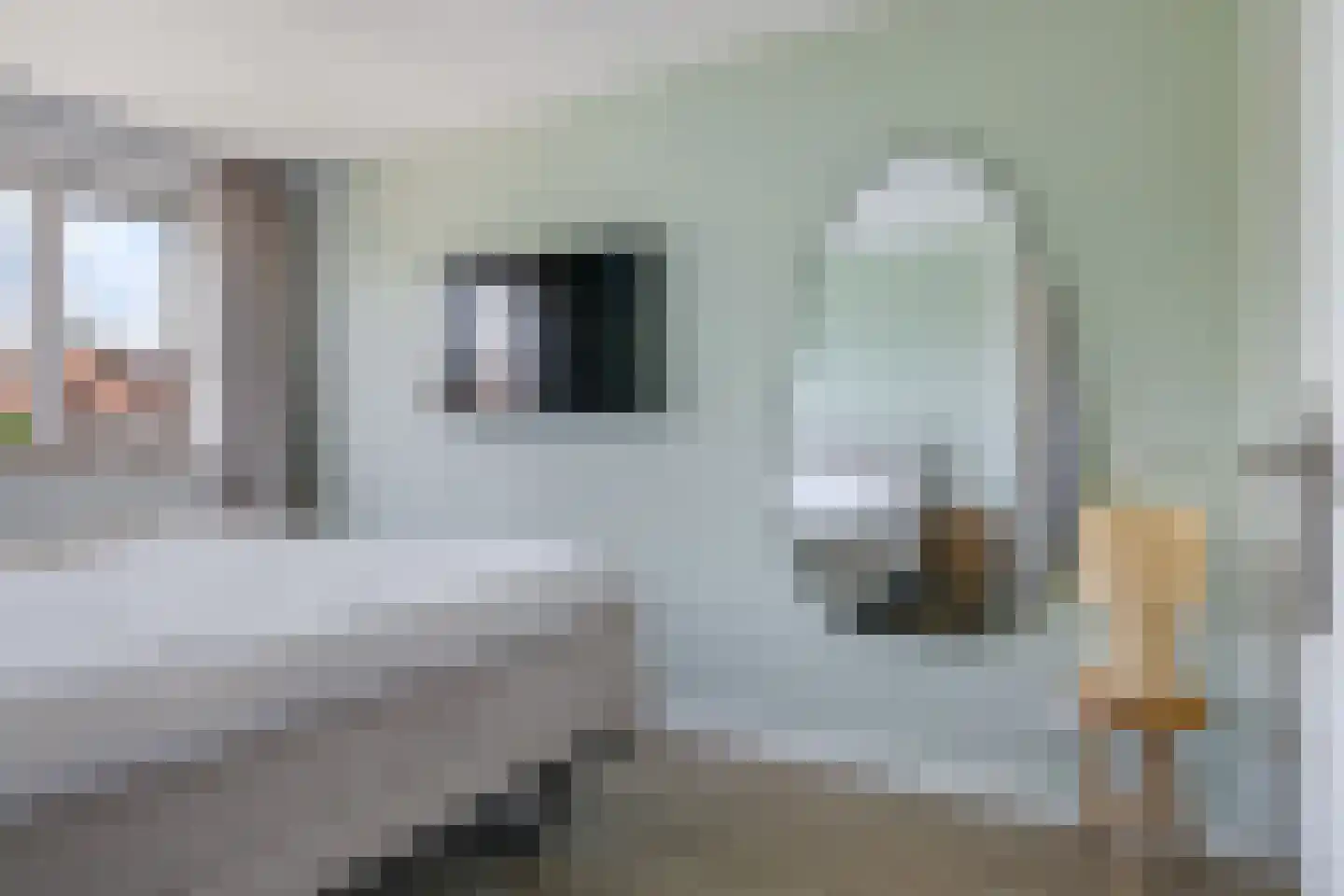 Van Rooijenstraat 36 Driel thumbnail 33