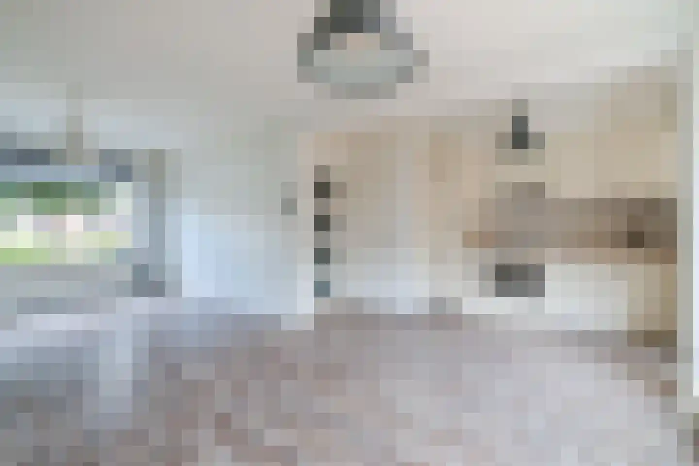 Van Rootselaarstraat 24 Nijkerkerveen thumbnail 10
